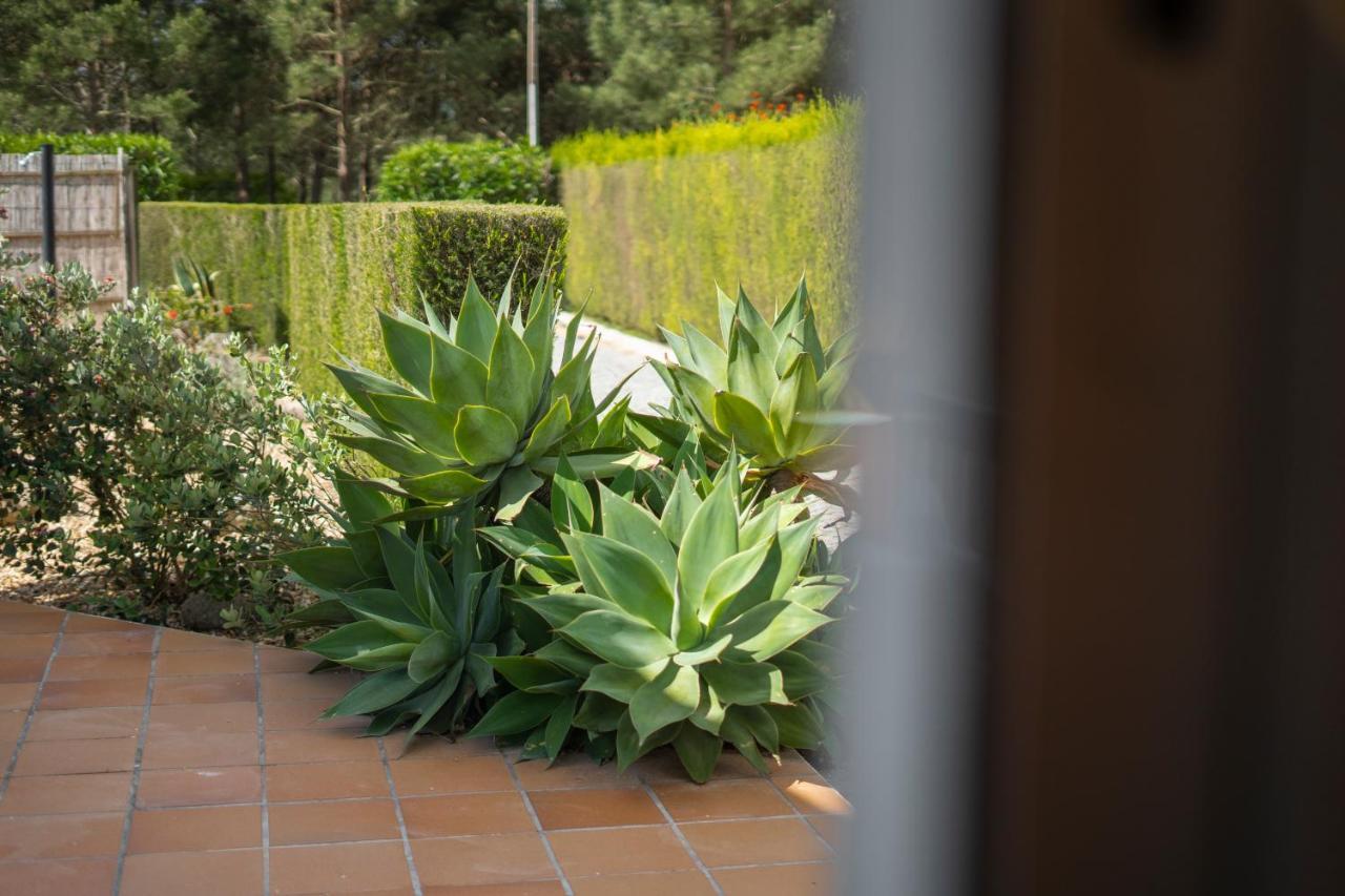 Casa Garrod - Spacious Family Villa Aljezur Bagian luar foto